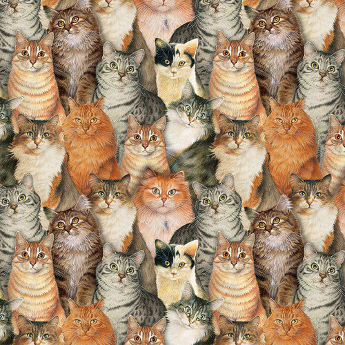 Sophisti-Cats - Cat Collage