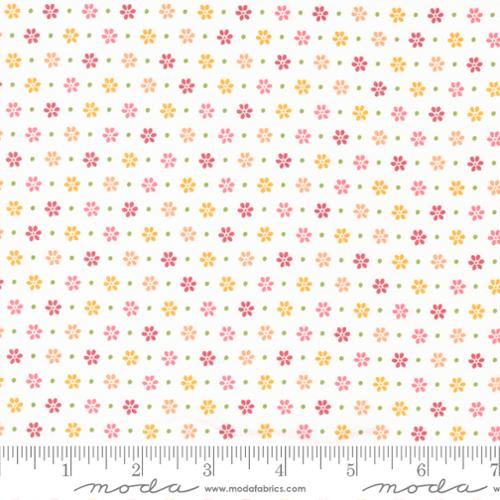 Bountiful Blooms - Off White Daisy Ditsy Floral