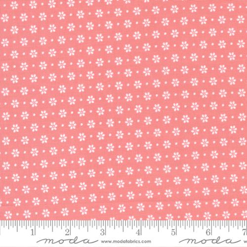 Bountiful Blooms - Blush Daisy Ditsy Floral