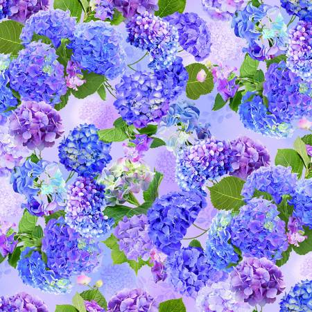 Hydrangea Bliss - Purple Hydrangea
