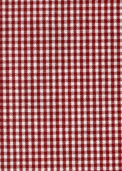 20" x 28" Mini Check Towel - Red & White
