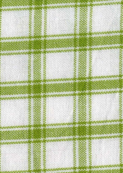 20 x 28 Plaid Towel - Lime & White – Miller's Dry Goods