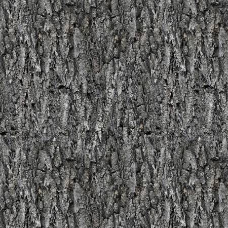 Spirit Animals - Grey Tree Texture